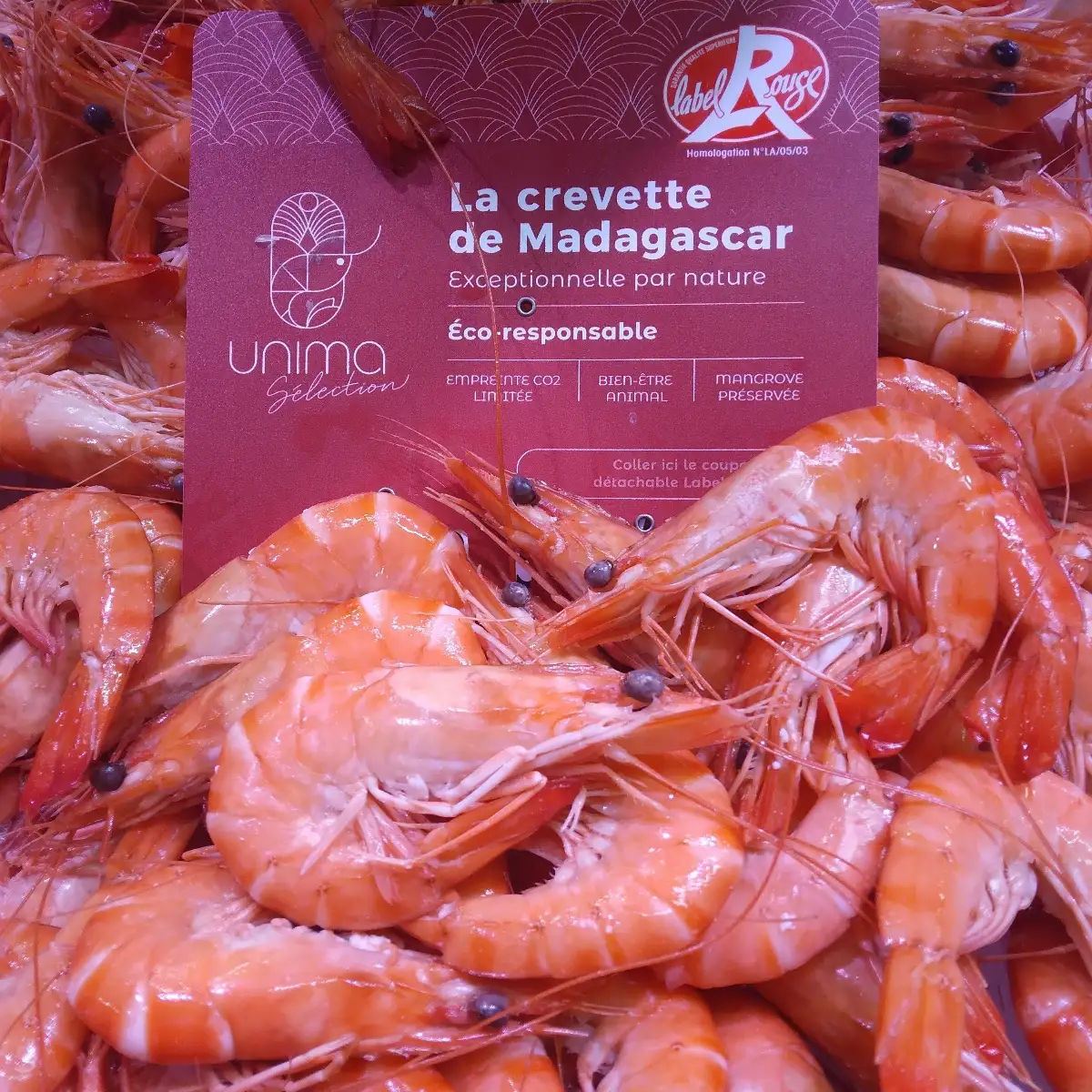 Crevettes de Madagascar label rouge