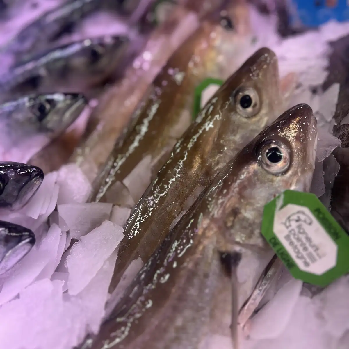 Filet de poisson sans arrête